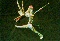 Alebrije 22