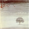 Wind & Wutheing (1976)